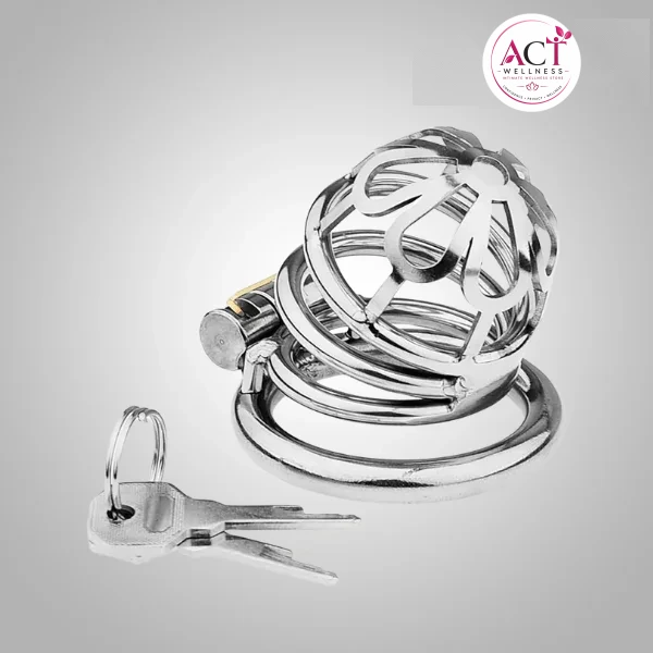 Chastity Cage Sexual Stimulation Couple Sex Lock Private Bondage Stainless Steel - Buy Online in India | act wellness - view 1