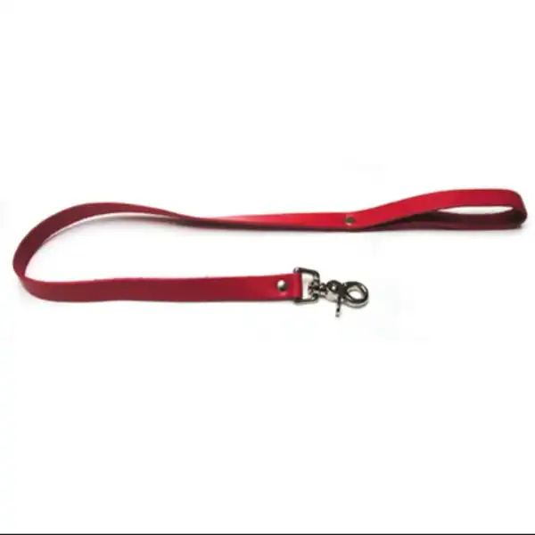 Collar with Leash Fetish BDSM Dog Slave - Product Gallery View 3 | act wellness