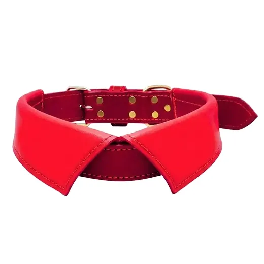 Adjustable Premium Dog Collar - Product Gallery View 2 | act wellness