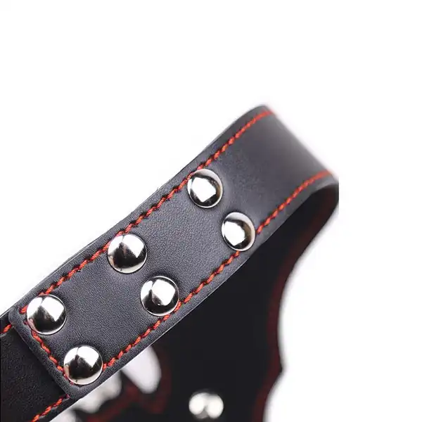 Genuine Leather Bat Shape Collar With Chain Leash - Product Gallery View 2 | act wellness