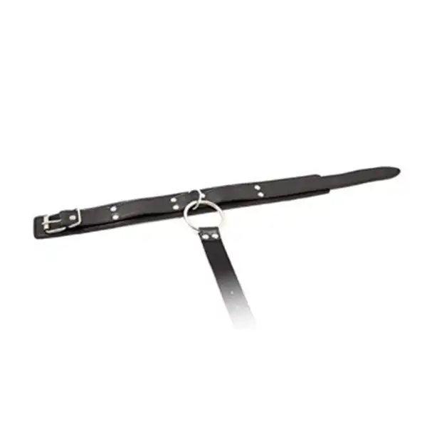 HOT Sex Collars Bondage Neck Collar with Hand Cuffs Fetish - Product Gallery View 2 | act wellness