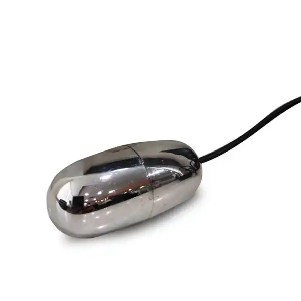Shiny Steel 7 inch Rod with egg Vibrator - Product Gallery View 4 | act wellness